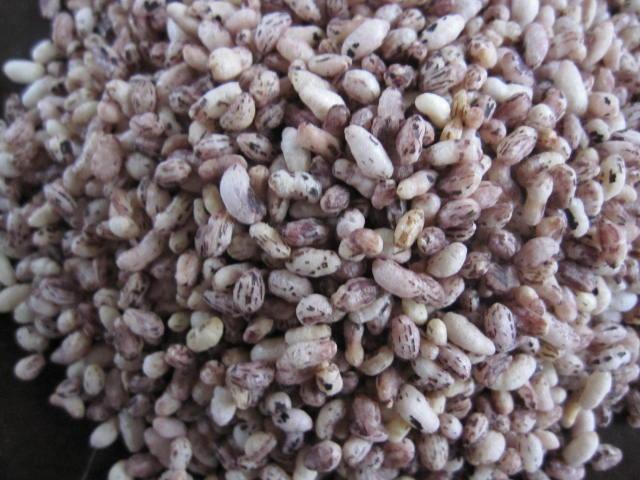 供應(yīng)青稞炒貨機(jī)，青島青稞炒貨機(jī)，自動(dòng)青稞炒貨機(jī)，