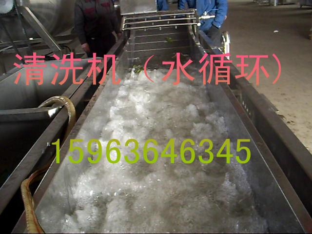 供應(yīng)蔬菜清洗機(jī)辣椒小白菜蘑菇