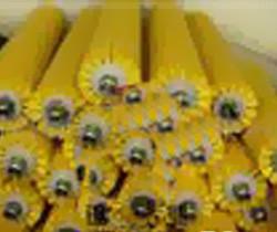 供應(yīng)蘑菇清洗機(jī)毛刷毛發(fā)去雜去皮機(jī) 蘿卜去皮機(jī)毛刷輥