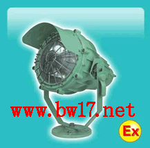 供應(yīng)危險(xiǎn)場所投光燈