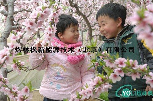 供應(yīng)太陽(yáng)能溫室大棚（蔬菜溫室、果樹(shù)、畜牧溫室）