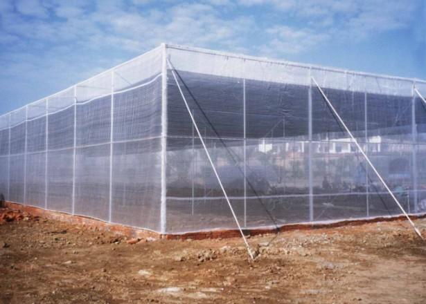 供應(yīng)#那里有生產(chǎn)防蟲網(wǎng)最多的廠家#安平浩成篩網(wǎng)#安平防蟲網(wǎng)那里是