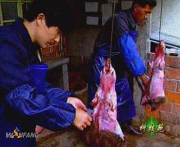 供應(yīng)*肉