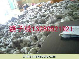 供應(yīng)山東*子絨