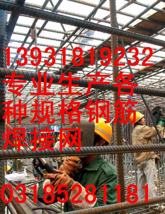 CRB550鋼筋網(wǎng)圖片