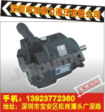 液壓油泵圖片/液壓油泵樣板圖 (4)