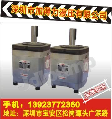 供應(yīng)臺灣高壓齒輪泵