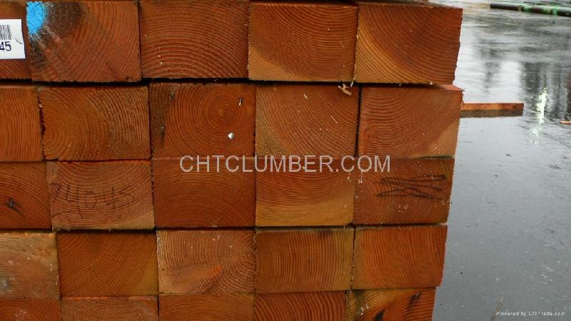 供應(yīng)批發(fā)花旗松