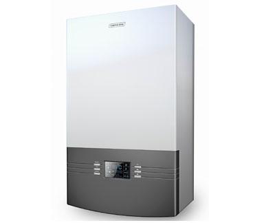 供應(yīng)西安燃?xì)獗趻鞝t