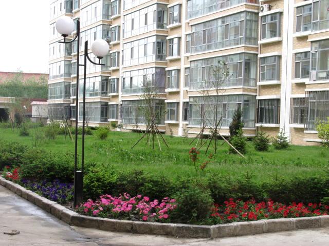 哈爾濱草坪銷售