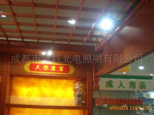 供應(yīng)led室內(nèi)照明燈具