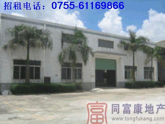 光明2400平方標準廠房招租