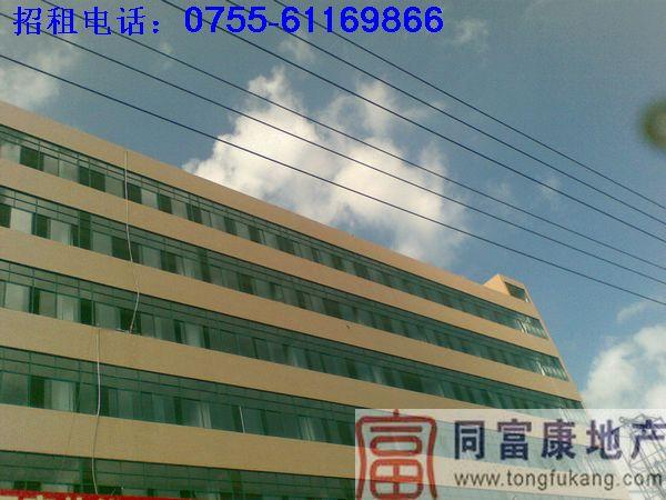 供應(yīng)深圳公明工業(yè)廠房