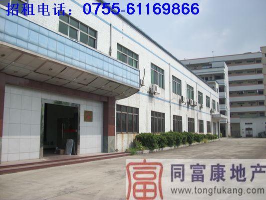 寶安松崗重工業(yè)廠房招租