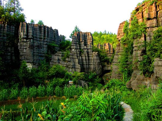 供应春游武汉到恩施旅游路线 湖北省内旅游（武汉三峡恩施）旅游图片