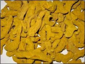 供應(yīng)中藥姜黃