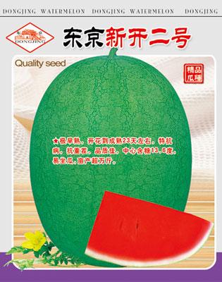 東京新開二號圖片
