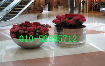 供應(yīng)不銹鋼花盆7