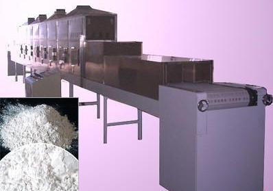 供應(yīng)紅棗氣泡清洗設(shè)備 微波紅棗清洗設(shè)備 微波大棗清洗機 微波食品氣泡清洗機