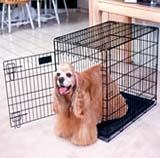 供應(yīng)河北兔籠批發(fā)廠家 安平兔籠廠家 兔子籠子  山東兔子籠