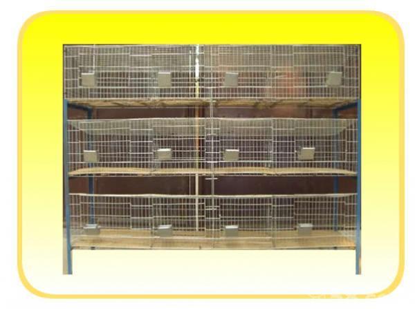 河北兔籠批發(fā)廠家圖片