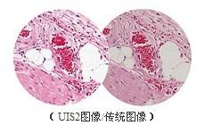 上海市临床显微镜BX41-72P02厂家供应奥林巴斯临床显微镜BX41-72P02，生物显微镜BX41