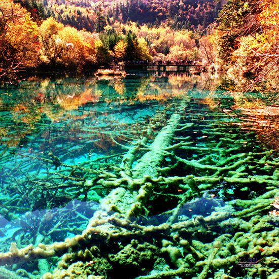 供應(yīng)九寨溝2012旅游*自由行攻略，九寨溝旅游自助游，九寨溝旅游