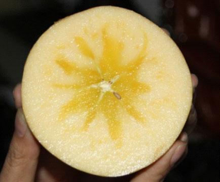 供應(yīng)阿克蘇冰糖心蘋果廠商/阿克蘇冰糖心蘋果專賣/糖心蘋果多少錢一斤