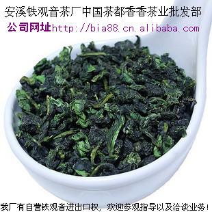 供应天然特级铁观音茶叶 安溪茗品正宗发源地