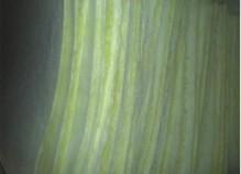 供應(yīng)濾芯、河南聚結(jié)分離濾芯MZLX