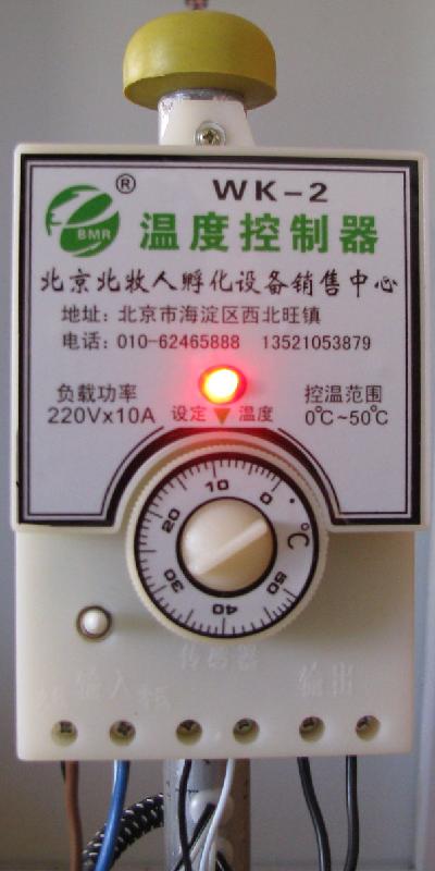 供應六安育雛設備，六安哪里有育雛保溫傘