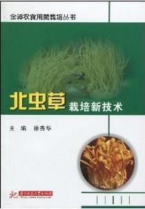 供应2012n广西北虫草种植技术大全北虫草种植资料试读