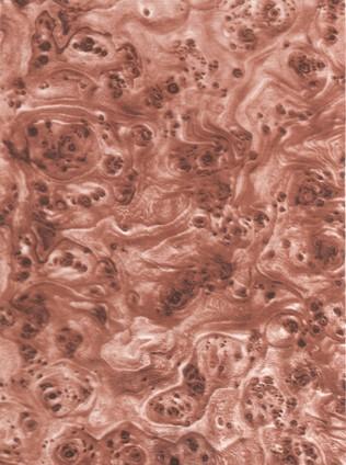 電話的木紋水轉(zhuǎn)印加工廠家圖片