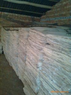 供應(yīng) 臨沂楊木板皮價(jià)錢多少 楊木單板