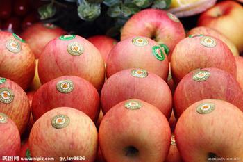 供應(yīng)山東紅嘎啦蘋果價格-山東紅嘎啦蘋果批發(fā)