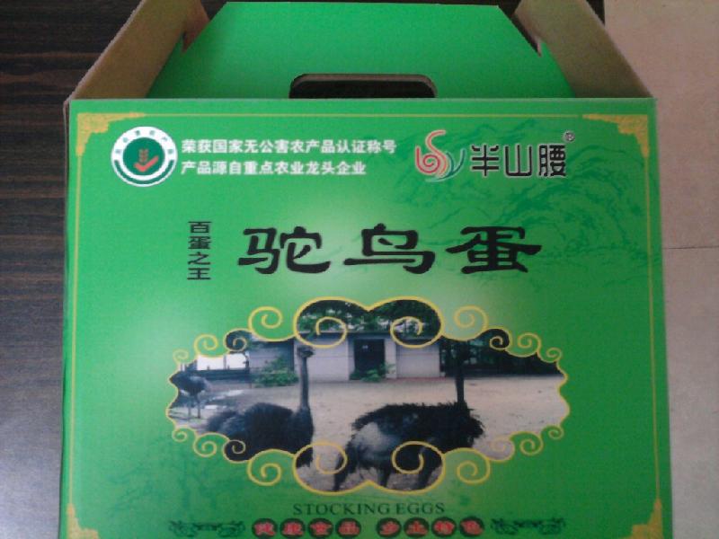 供應廣州農(nóng)副產(chǎn)品鴕鳥蛋