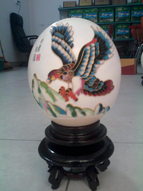 供應廣州農(nóng)副產(chǎn)品鴕鳥蛋