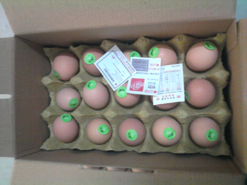 供應(yīng)廣州農(nóng)家蛋