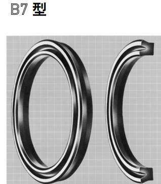 派克KR型活塞密封圖片/派克KR型活塞密封樣板圖 (3)