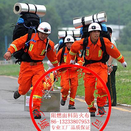 全棉永久阻燃布圖片