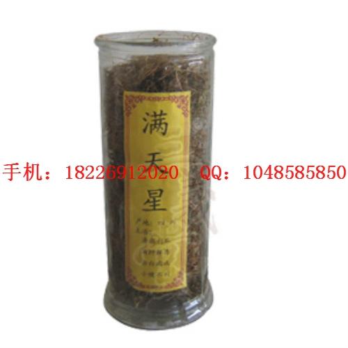 供應(yīng)石蟬草批發(fā)老頭草批發(fā)鹿茸草批發(fā)