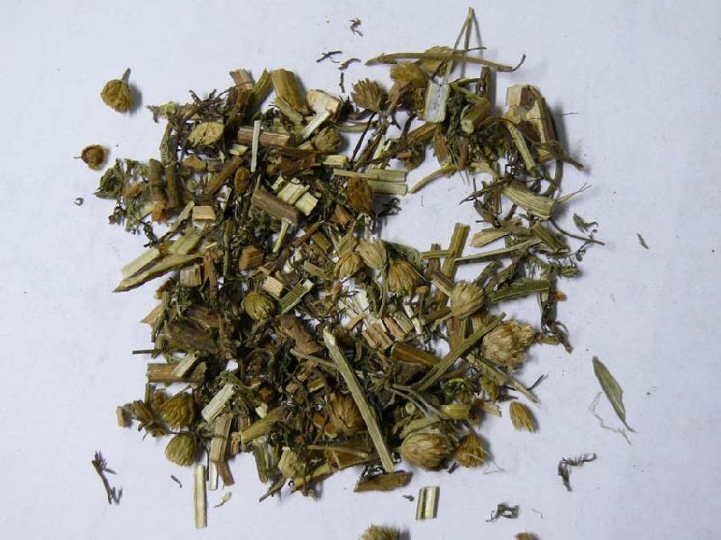 供應(yīng)一支篙草雪上一枝蒿批發(fā)價(jià)格