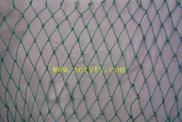 高爾夫網(wǎng)圖片