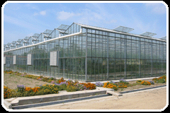 供應(yīng)專業(yè)玻璃溫室大棚骨架設(shè)計(jì)生產(chǎn)加工