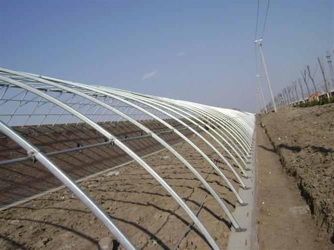 供應(yīng)河北溫室大棚廠家/河北溫室大棚建造