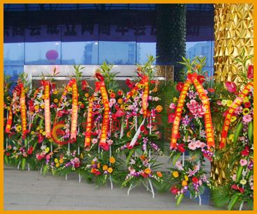 供應(yīng)慶典花藍(lán)