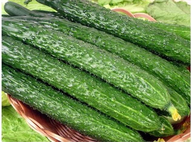 供應農(nóng)產(chǎn)品物流配送冷庫