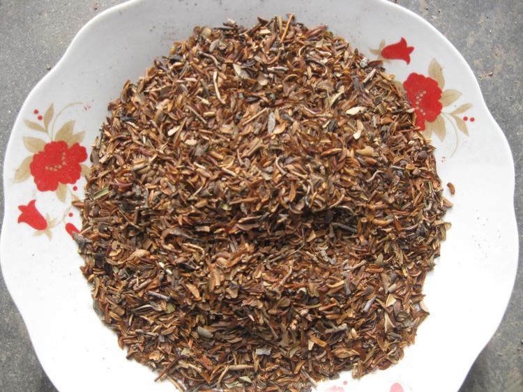 供應(yīng)玉林市沉香種子生產(chǎn)公司沉香苗