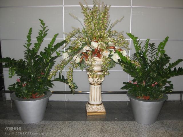 供應(yīng)寫字樓植物綠化方案—上海*及商場植物租賃—寫字樓植物推薦