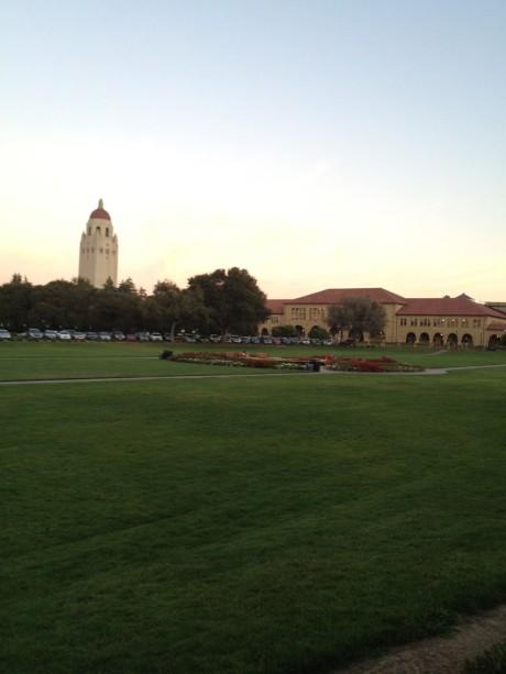 供應(yīng)上海大劇院綠化養(yǎng)護(hù)—上?？茖W(xué)院綠化養(yǎng)護(hù)公司